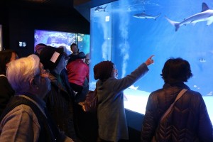 IMG_4567.jpgcccccc