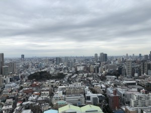IMG_8478