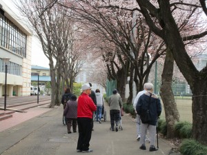 IMG_8254