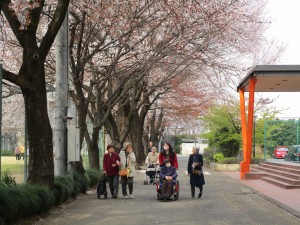 IMG_8256