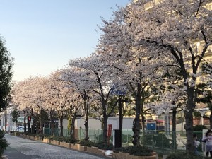IMG_1948