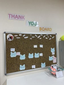 IMG_0881