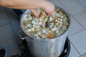 IMG_8056