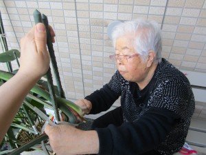 IMG_9537