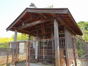 DSC05474