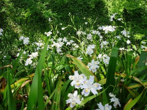 DSC05480