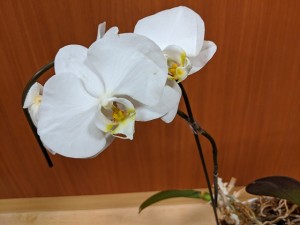 IMG_20200506_005927