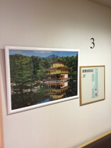 IMG_2984