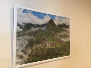 IMG_2989