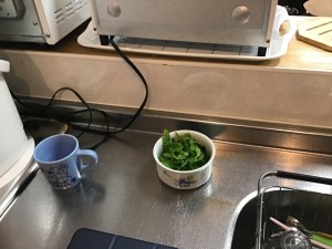 IMG_3064