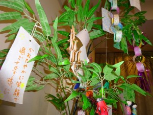 DSC05609