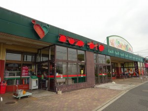 DSC05515 - コピー