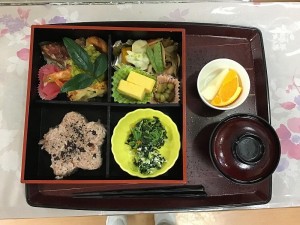 IMG_0522 (2)