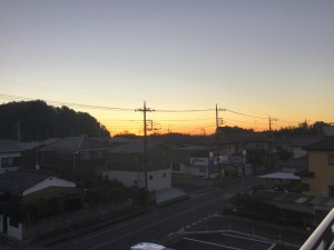 IMG_3779