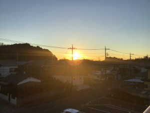 IMG_3780