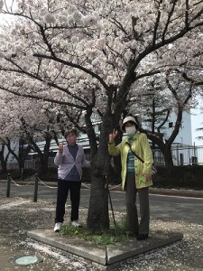 IMG_0904 (2)