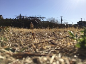 IMG_3797