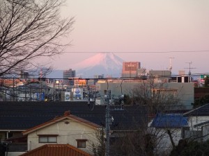 DSC05948 - コピー