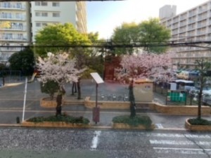 image5_jpeg