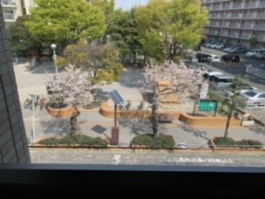image8_jpeg