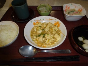 DSC06008
