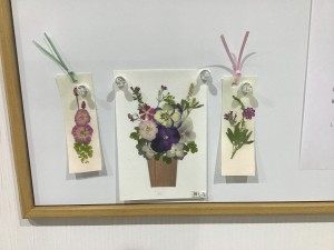 IMG_0290