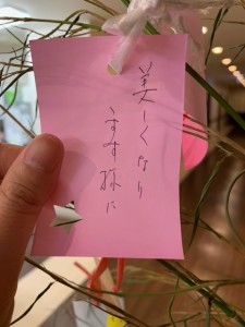 image8_jpeg